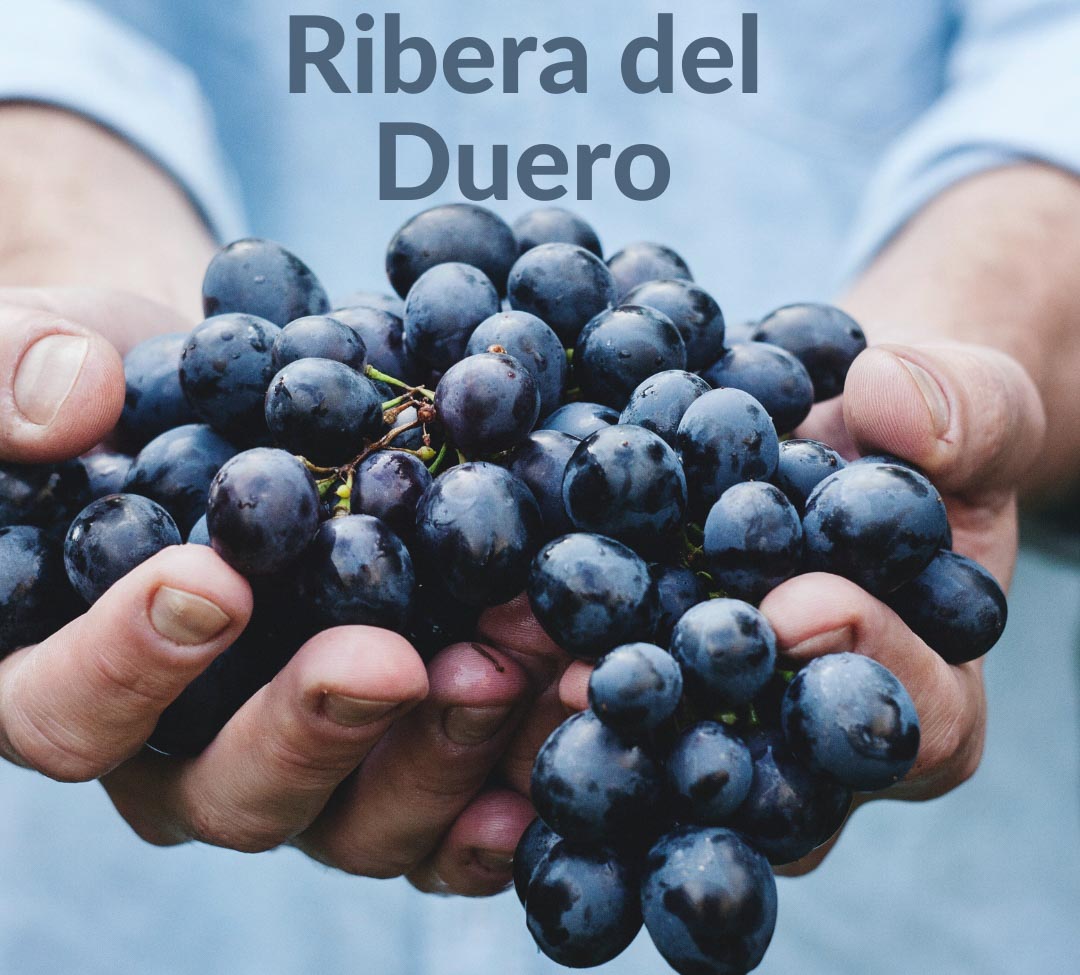 Ribera del Duero Paraíso Vitivinícola